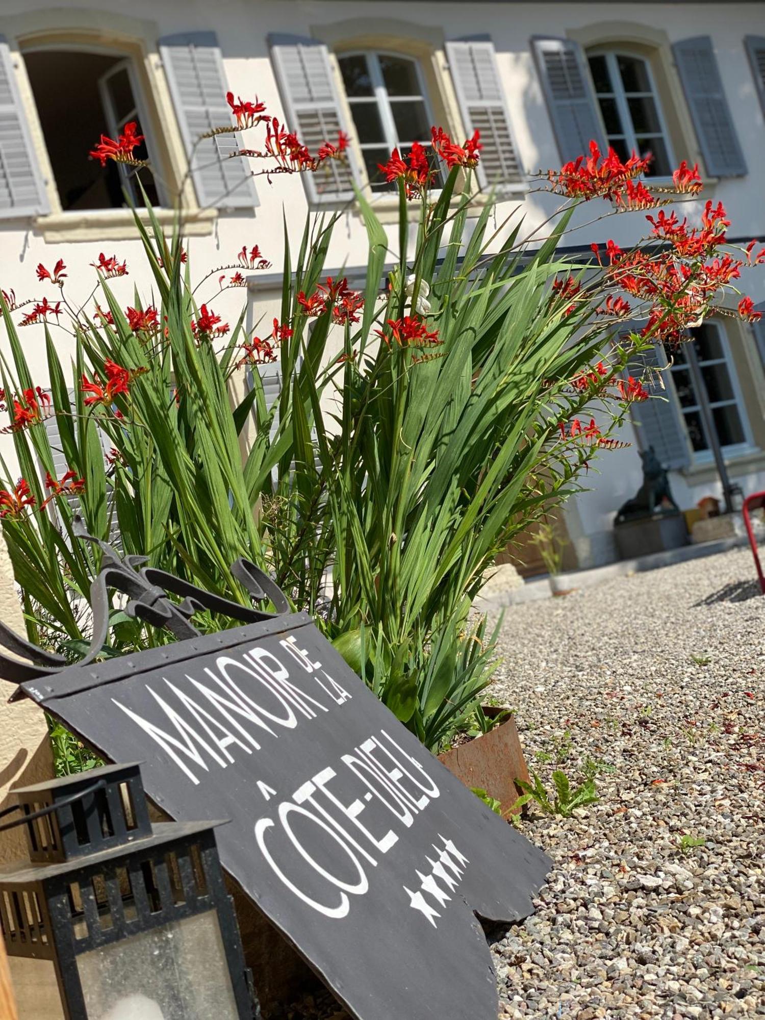Manoir De La Cote-Dieu Porrentruy Esterno foto
