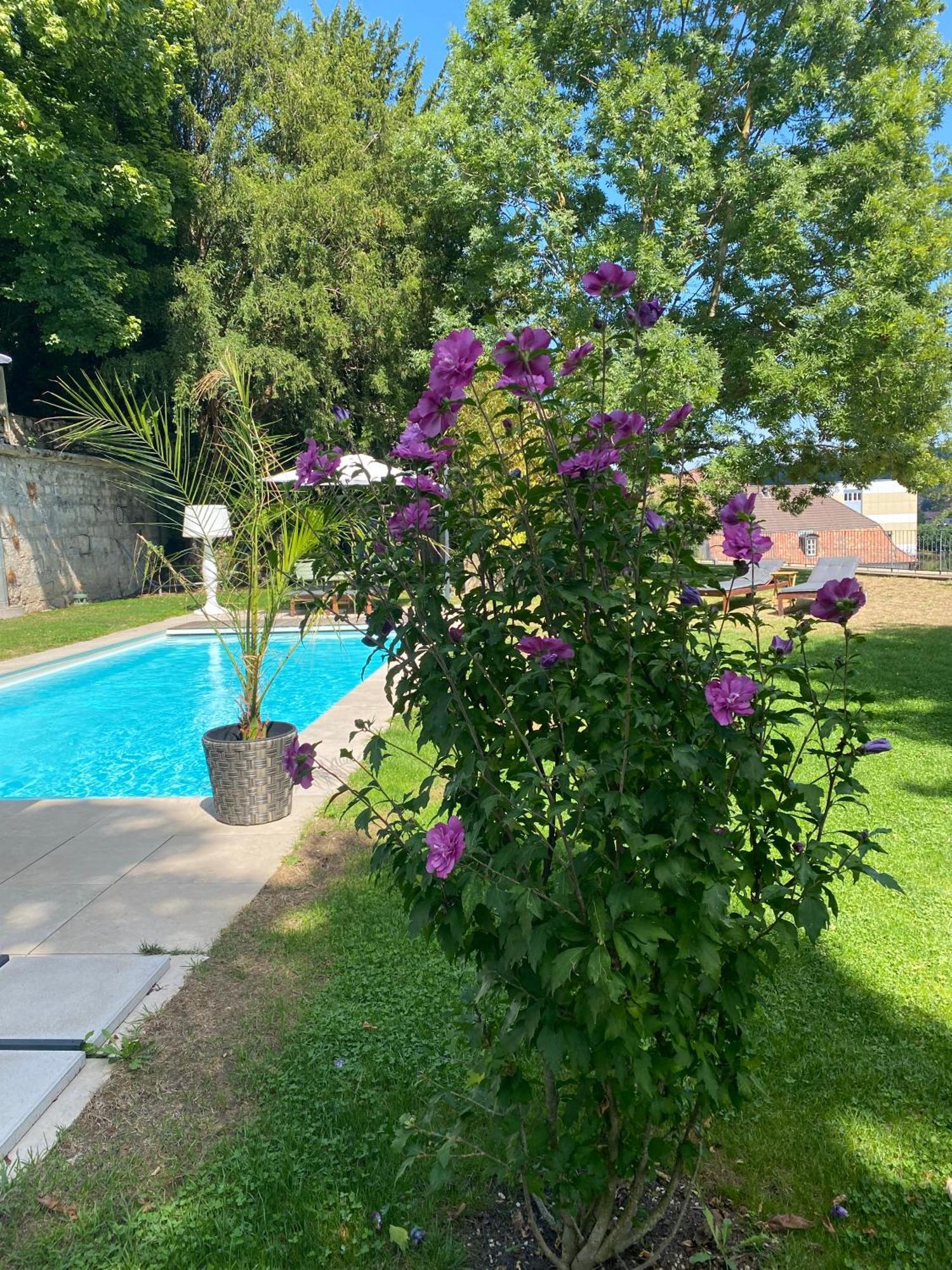 Manoir De La Cote-Dieu Porrentruy Esterno foto
