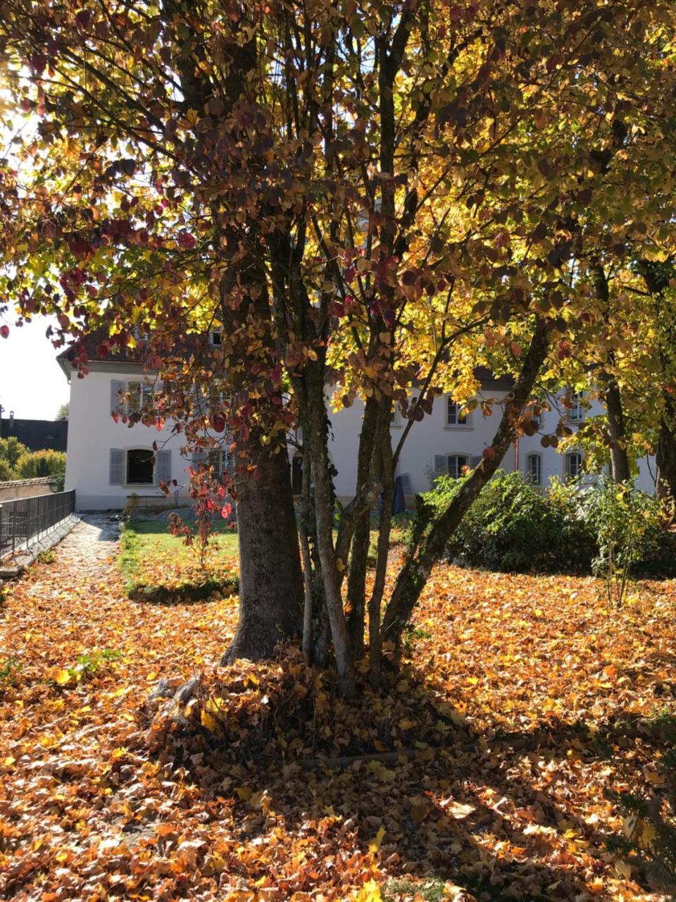 Manoir De La Cote-Dieu Porrentruy Esterno foto